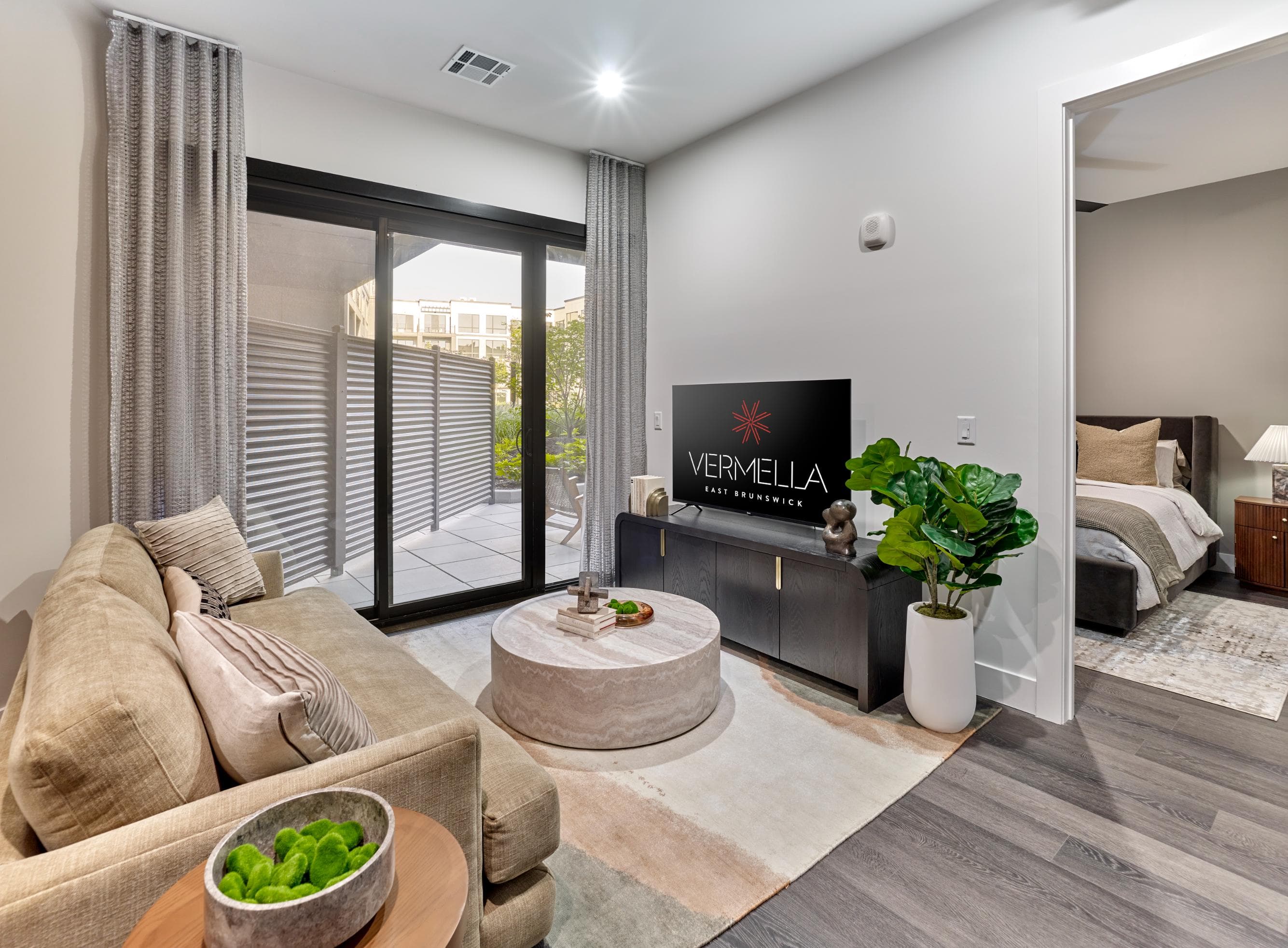 A living room with a couch, a television, and a plant.