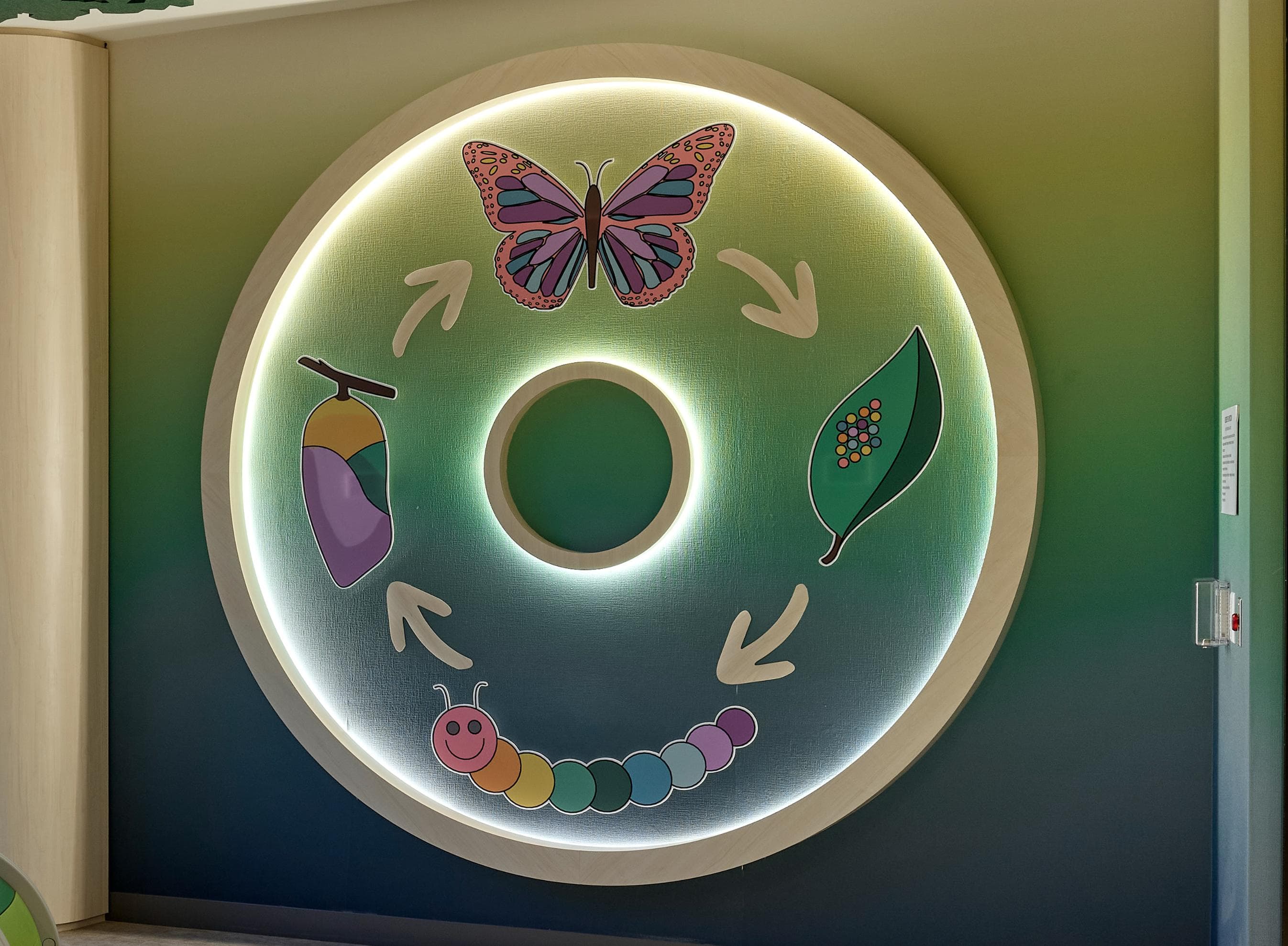 A circular object with a butterfly, a caterpillar, and a plant inside it.