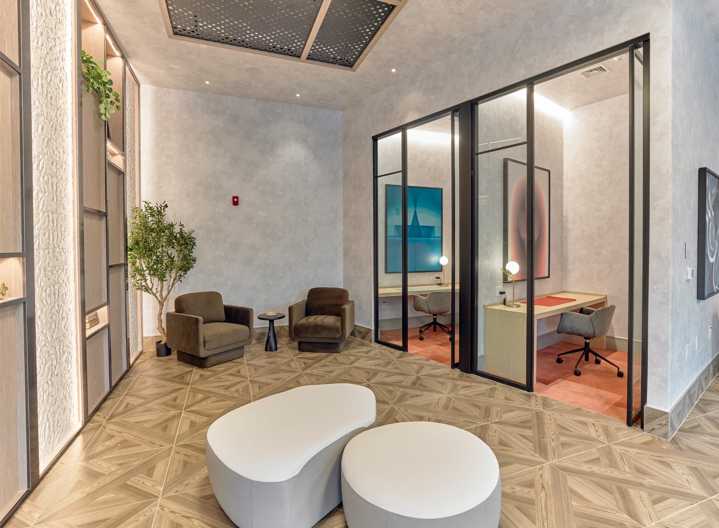 A modern office space with a glass wall and a plant.